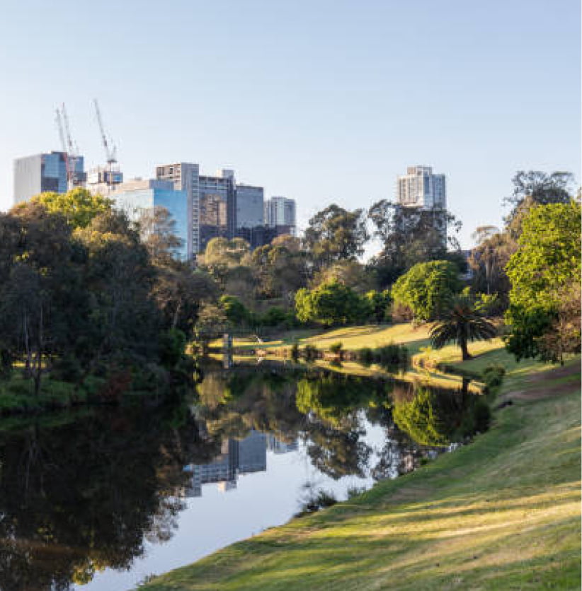 Image of the Parramatta skyline